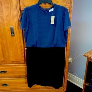 Blue and Black Dress; size 16P; new with tags